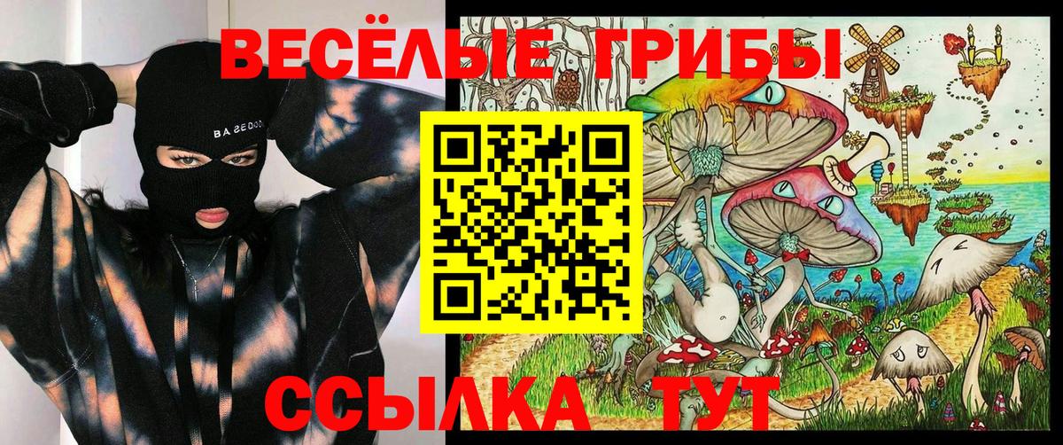 Галлюциногенные грибы ЛСД Отрадное